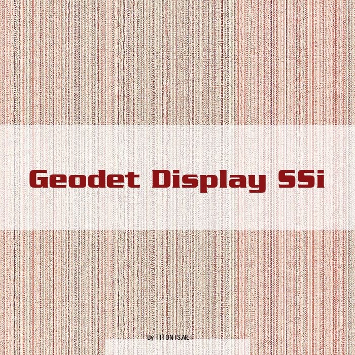Geodet Display SSi example